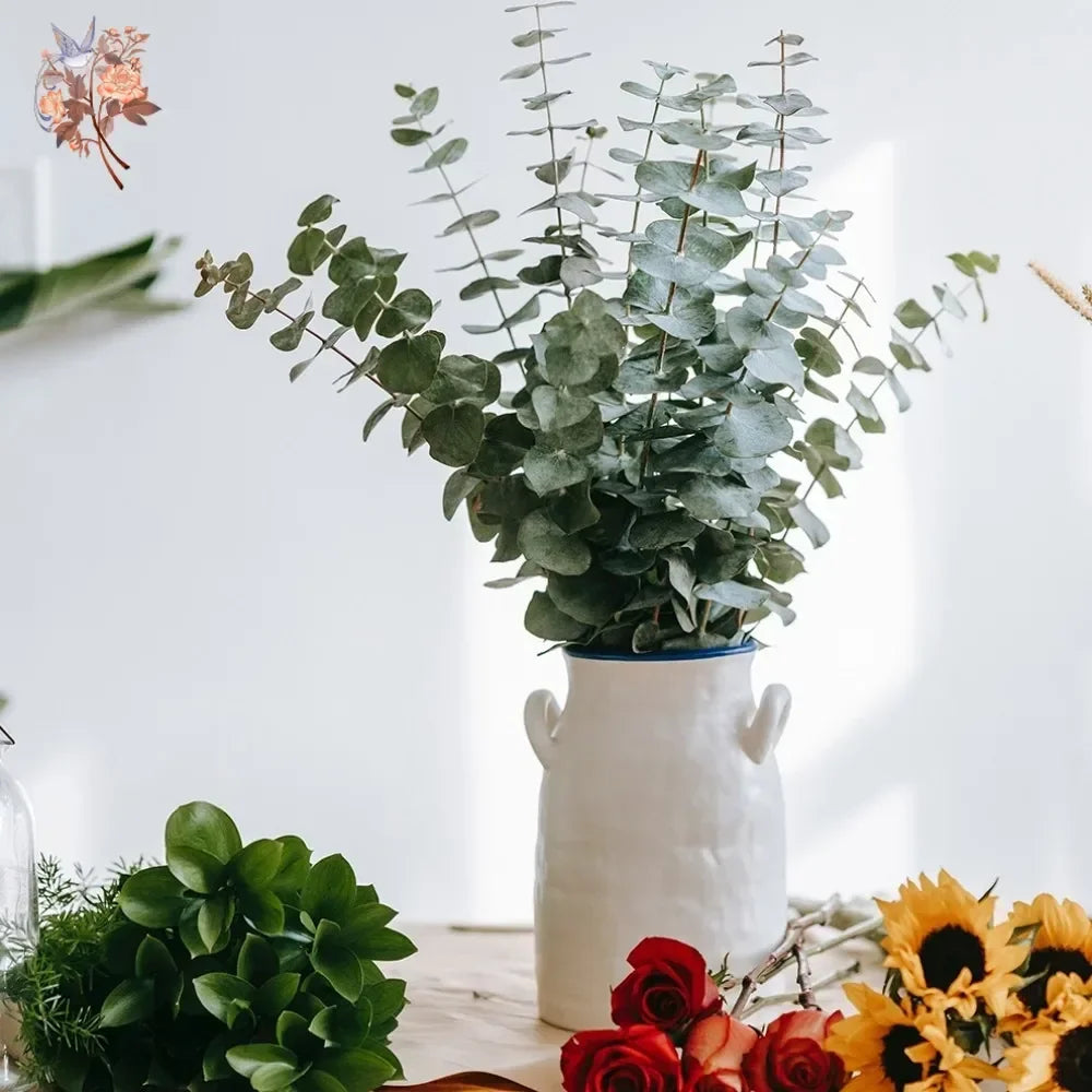 Natural Eternal Eucalyptus Leaves