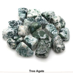 Curated Crystal Collection - Tree Agate / 200g