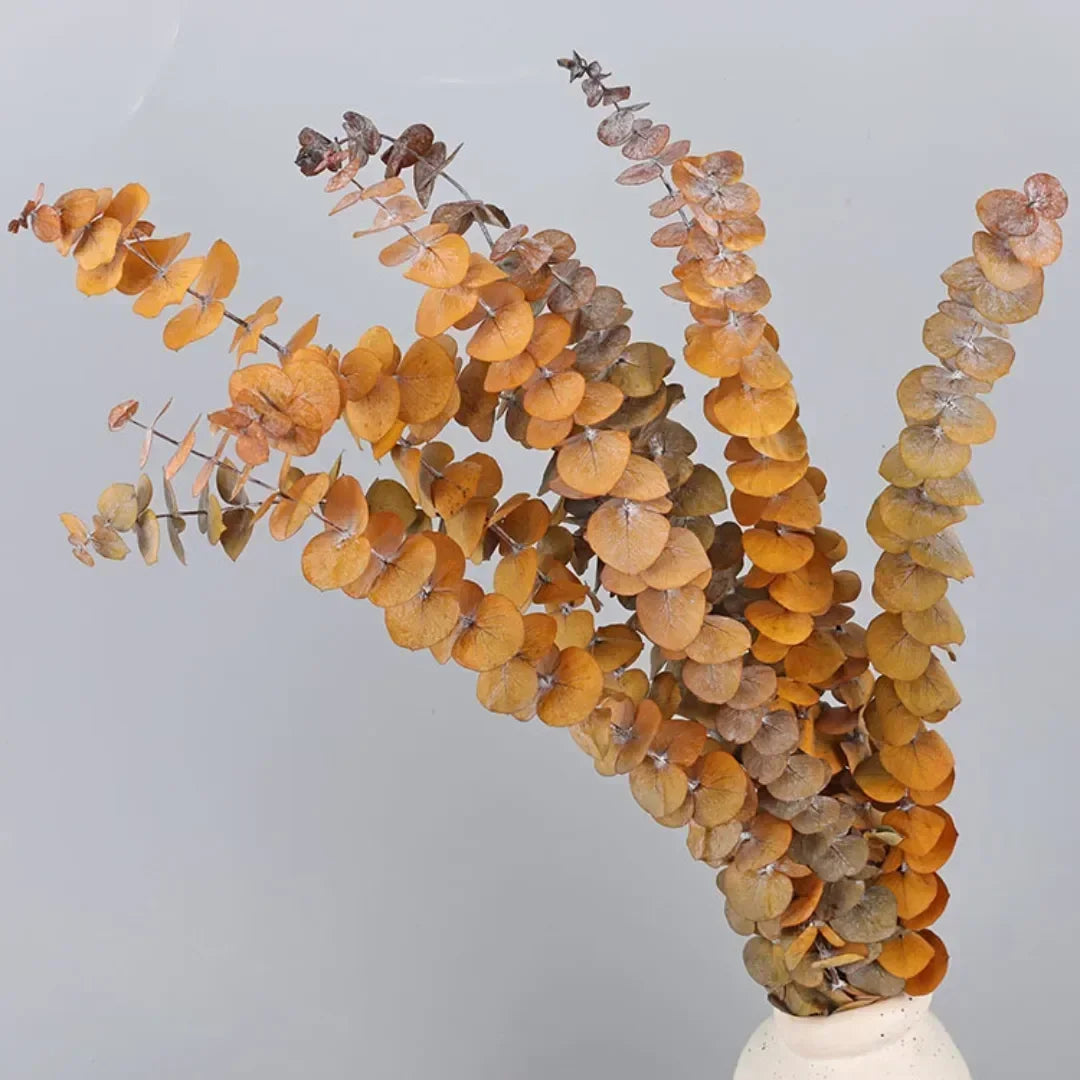 Natural Eternal Eucalyptus Leaves