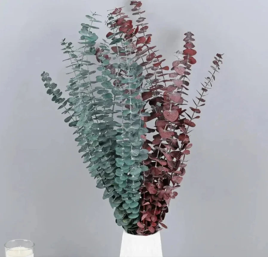 Natural Eternal Eucalyptus Leaves