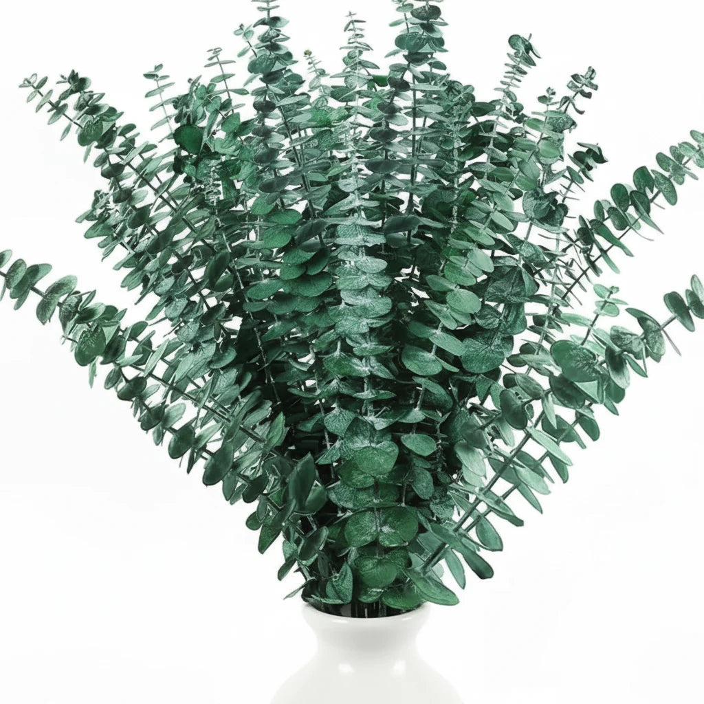 Natural Eternal Eucalyptus Leaves