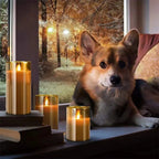 Gold LED Candle Set with Remote