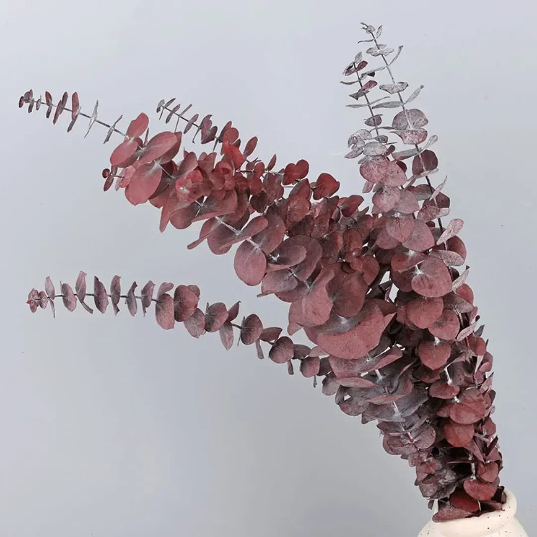 Natural Eternal Eucalyptus Leaves