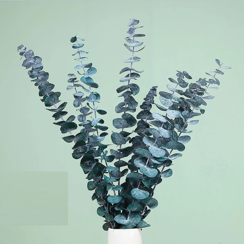 Natural Eternal Eucalyptus Leaves