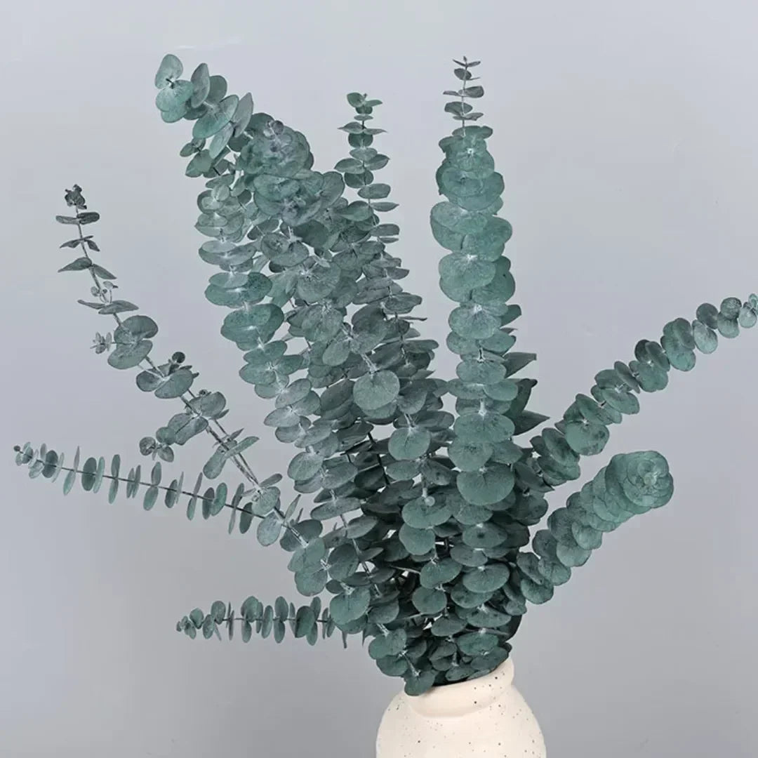 Natural Eternal Eucalyptus Leaves