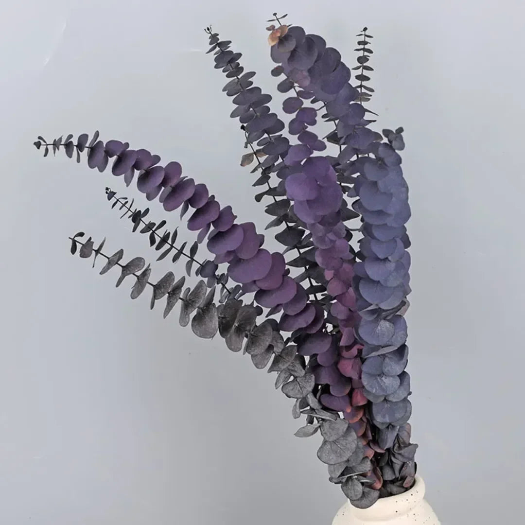 Natural Eternal Eucalyptus Leaves