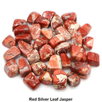 Curated Crystal Collection - Red Leaf Jasper / 200g